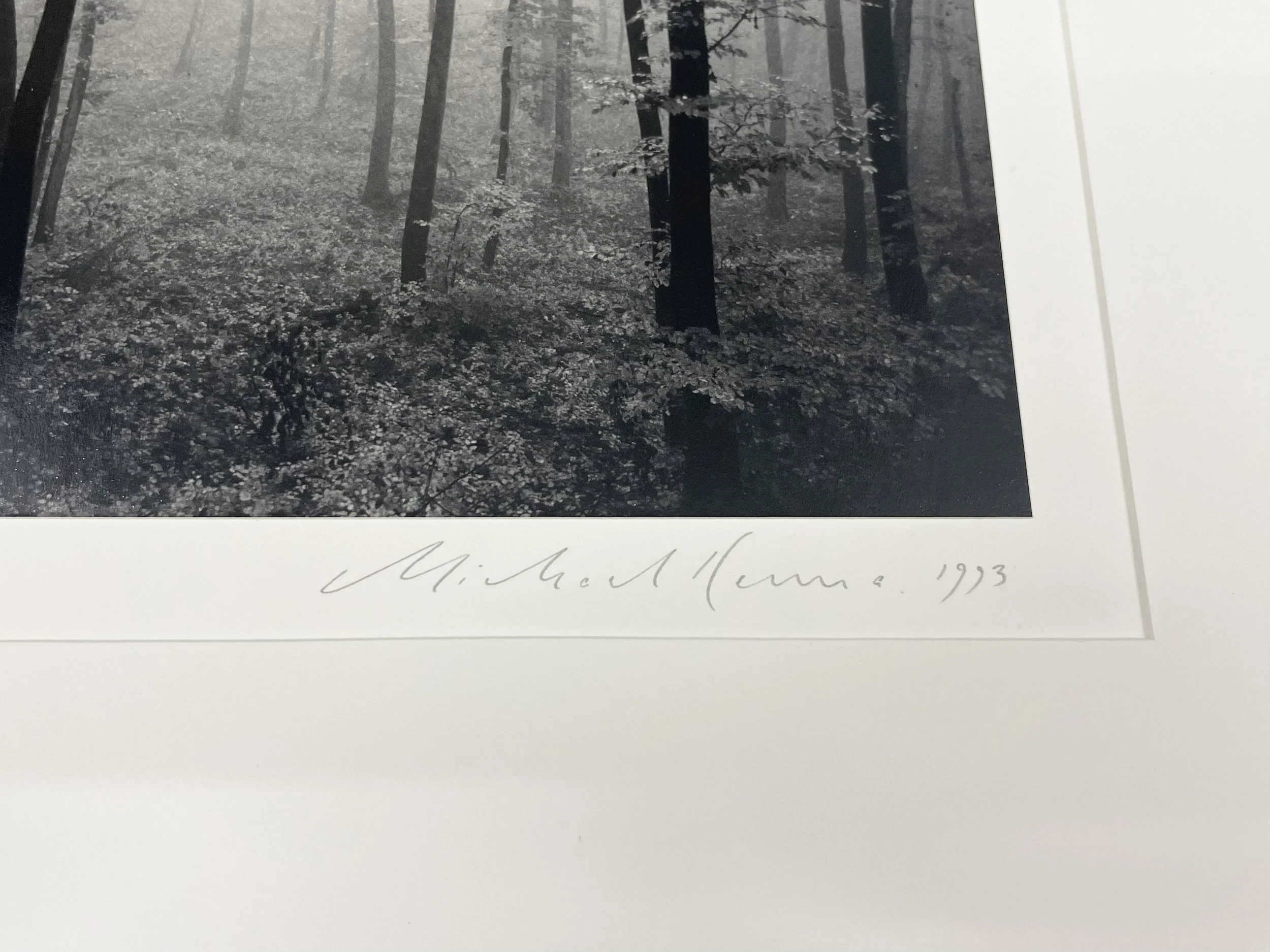 Michael Kenna: Jura Forest, Dornach, Switzerland, 1993 — PDNB